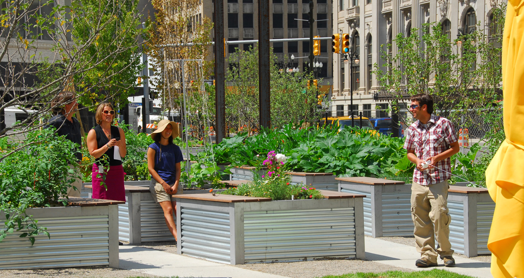 Lafayette Greens An Urban Garden