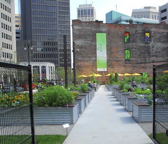 Lafayette Greens An Urban Garden